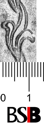Image Description for https://www.hist-einband.de/Bilder/BSB/Cgm7877_Blatt.jpg