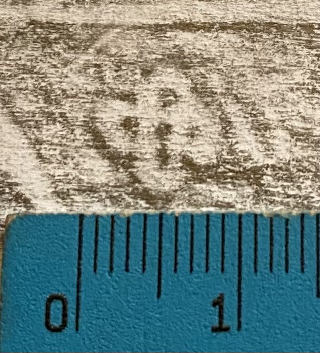 Image Description for https://www.hist-einband.de/Bilder/HAB/Blüte-Vierblatt-ohne Zwischenblätter.jpg