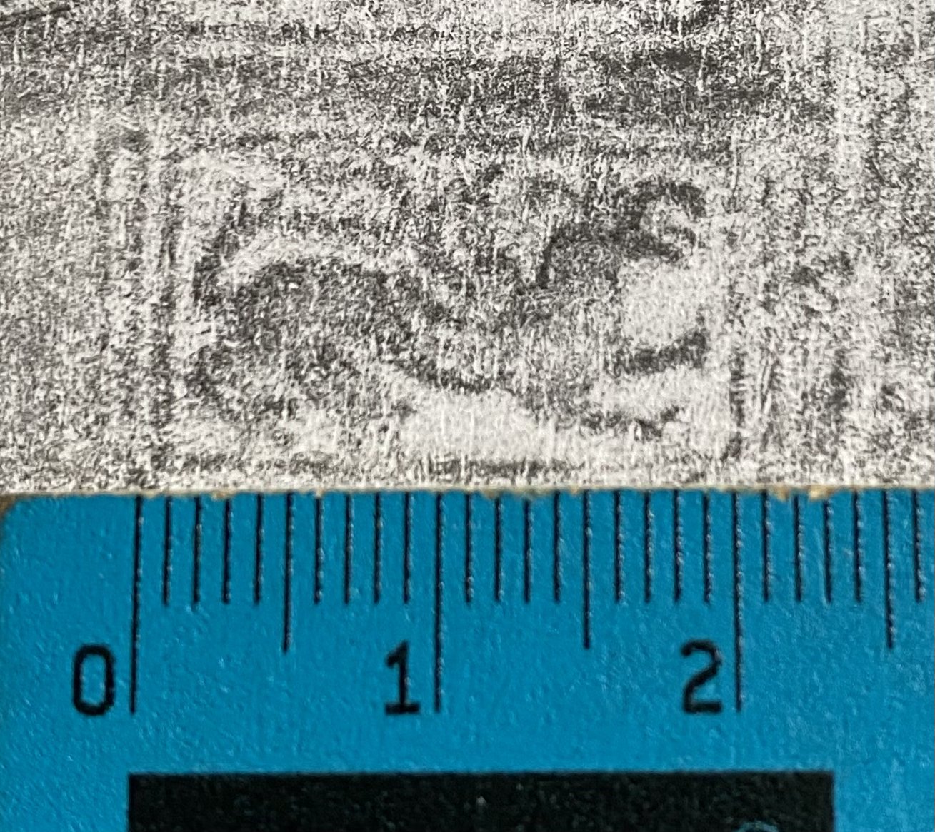 Image Description for https://www.hist-einband.de/Bilder/HAB/Greif.jpg
