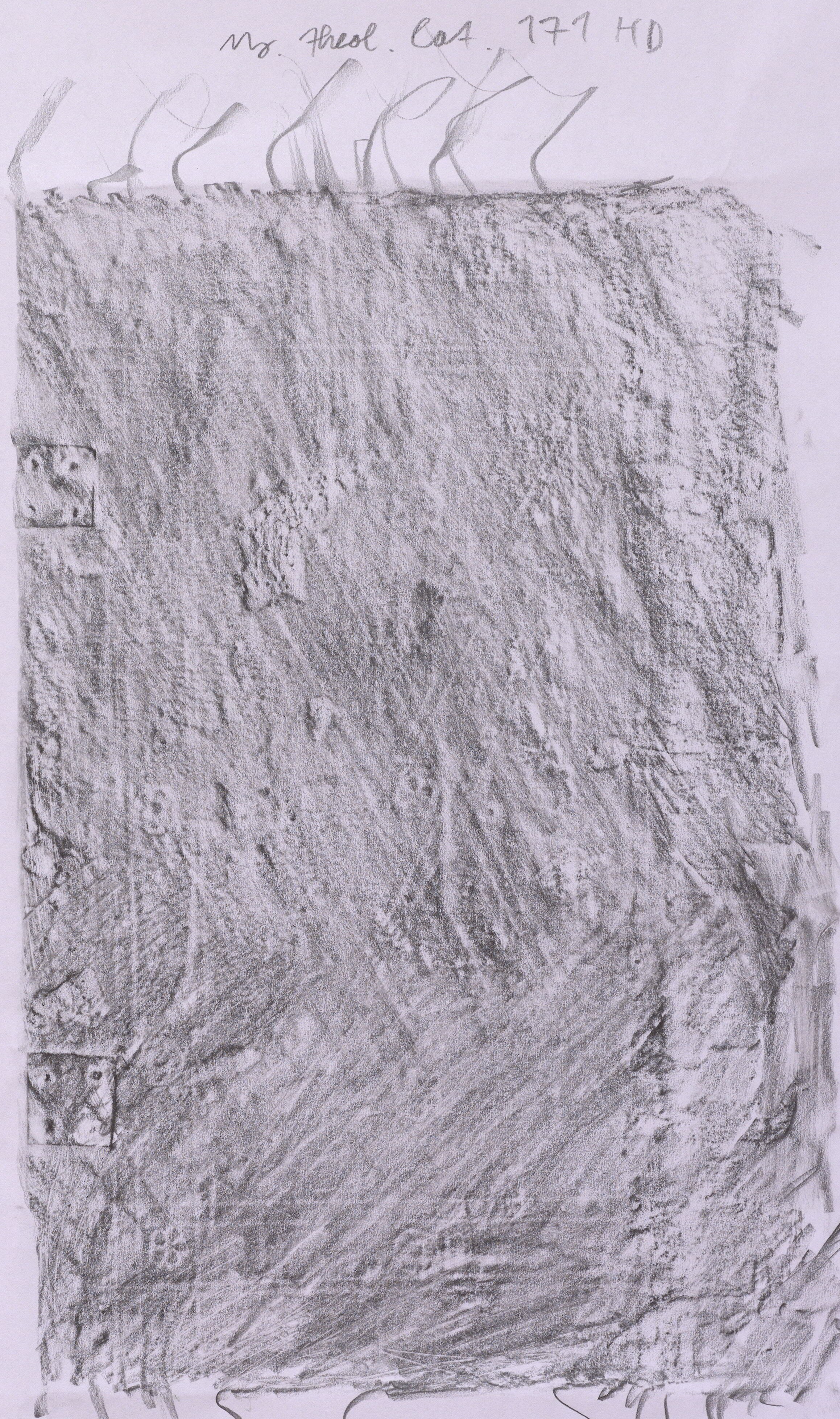 Image Description for https://www.hist-einband.de/Bilder/HAB/Ms. theol. lat. 171 HD.jpg