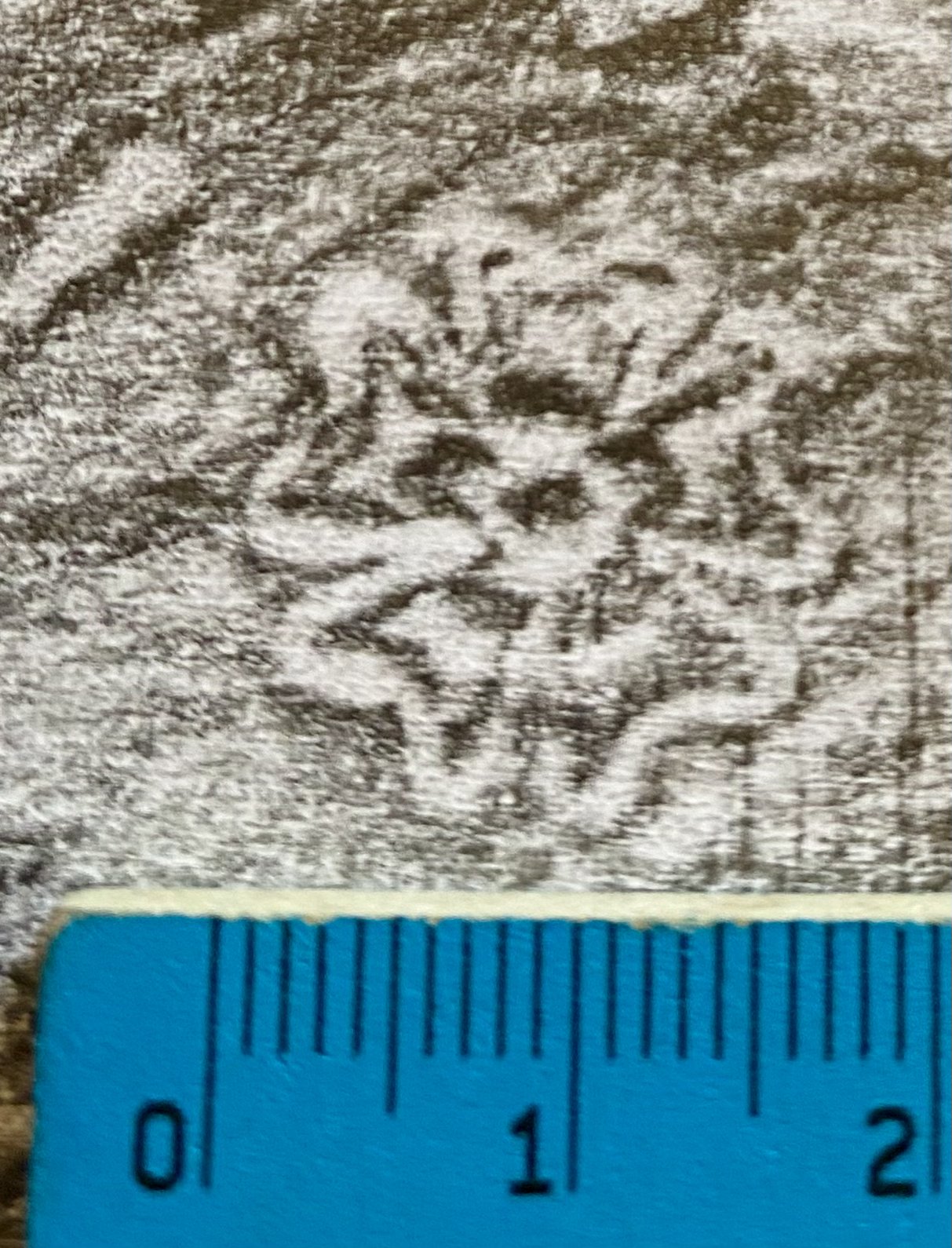 Image Description for https://www.hist-einband.de/Bilder/HAB/Rosette-mit einem Blattkranz-fünfblättrig-Blätter breit, gebuchtet.jpg