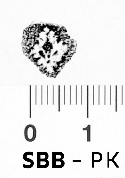 Image Description for https://www.hist-einband.de/Bilder/SBB/Antwerpen_A_Knospe_Rhombus_9x7.jpg