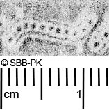 Image Description for https://www.hist-einband.de/Bilder/SBB/MIG/ebpics/images/bw735/001/bw735w03.jpg