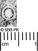 Image Description for https://www.hist-einband.de/Bilder/SBB/MIG/ebpics/images/bw811/001/bw811w05.jpg