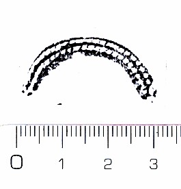 https://www.hist-einband.de/Bilder/SBB/MIG/terminologie/bilder/s00065.jpg