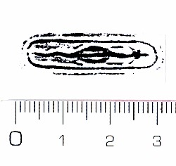 https://www.hist-einband.de/Bilder/SBB/MIG/terminologie/bilder/s00097.jpg