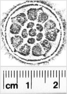 https://www.hist-einband.de/Bilder/SBB/MIG/terminologie/bilder/s00471.jpg