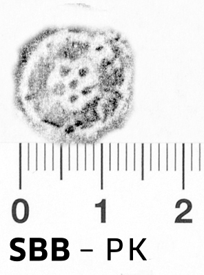 Image Description for https://www.hist-einband.de/Bilder/SBB/bd_pb_loewe_am_baum_rosette_2kr_5bl_blbreit_13x13.jpg