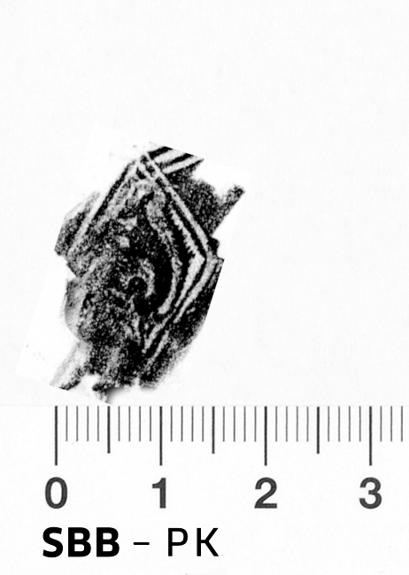 Image Description for https://www.hist-einband.de/Bilder/SBB/bg_pb_abd_eichhoernchen_rhombus_21x16.jpg