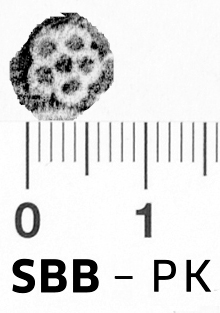 Image Description for https://www.hist-einband.de/Bilder/SBB/bg_pb_abd_rosette_5b_blkreis_offen_7x7.jpg