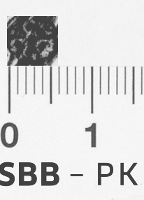 Image Description for https://www.hist-einband.de/Bilder/SBB/bg_pb_abd_rosette_6b_bgebuchtet_offen_7x7.jpg