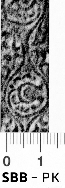 Image Description for https://www.hist-einband.de/Bilder/SBB/bg_pb_abd_wellenranke_laub_blueten_rolle_12.jpg