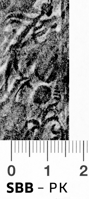 Image Description for https://www.hist-einband.de/Bilder/SBB/bg_pb_abd_wellenranke_laub_blueten_rolle_14.jpg