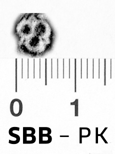 Image Description for https://www.hist-einband.de/Bilder/SBB/bg_pb_brsf_bluete_dreiblatt_offen_7x6.jpg