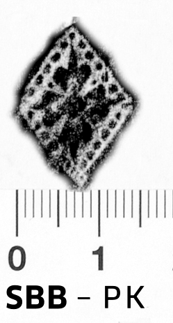 Image Description for https://www.hist-einband.de/Bilder/SBB/bg_pb_brsf_bluete_vierblatt_ozwbll_rhombus_19x14.jpg