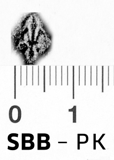 Image Description for https://www.hist-einband.de/Bilder/SBB/bg_pb_brsf_lilie_mbrhomb_abschlnichtlilienf_offen_9x6.jpg