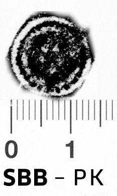 Image Description for https://www.hist-einband.de/Bilder/SBB/bg_pb_brsf_rosette_2kr_5b_breitgebuchtet_kreis_14.jpg