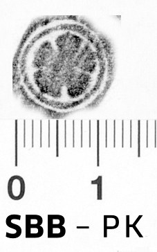 Image Description for https://www.hist-einband.de/Bilder/SBB/bg_pb_brsf_rosette_5b_blbreitspitzgebogt_kreis_12.jpg