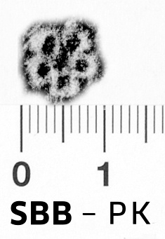 Image Description for https://www.hist-einband.de/Bilder/SBB/bg_pb_brsf_rosette_5b_blkreisf_offen_9x9.jpg