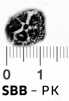 Image Description for https://www.hist-einband.de/Bilder/SBB/bg_pb_brsf_rosette_5b_blrundoval_offen_11x11.jpg