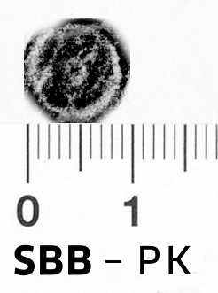 Image Description for https://www.hist-einband.de/Bilder/SBB/bg_pb_brsf_rosette_5b_breitnichtgebuchtet_kreis_9.jpg