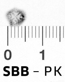 Image Description for https://www.hist-einband.de/Bilder/SBB/bg_pb_brsf_vierblatt_ozwbll_gefiedert_karo_4x4.jpg