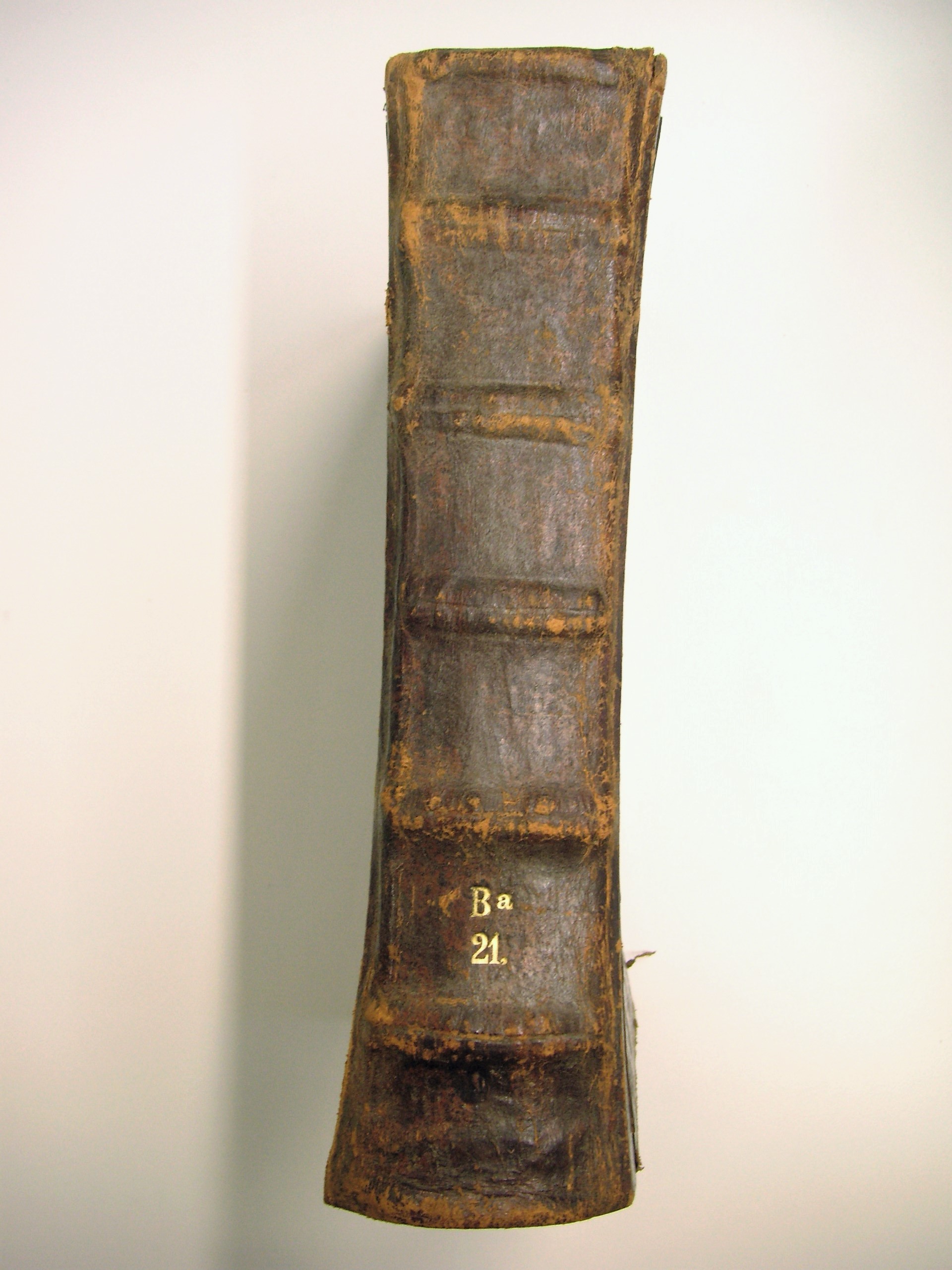 Image Description for https://www.hist-einband.de/Bilder/SBB/bg_pb_eab_ba21_br.jpg