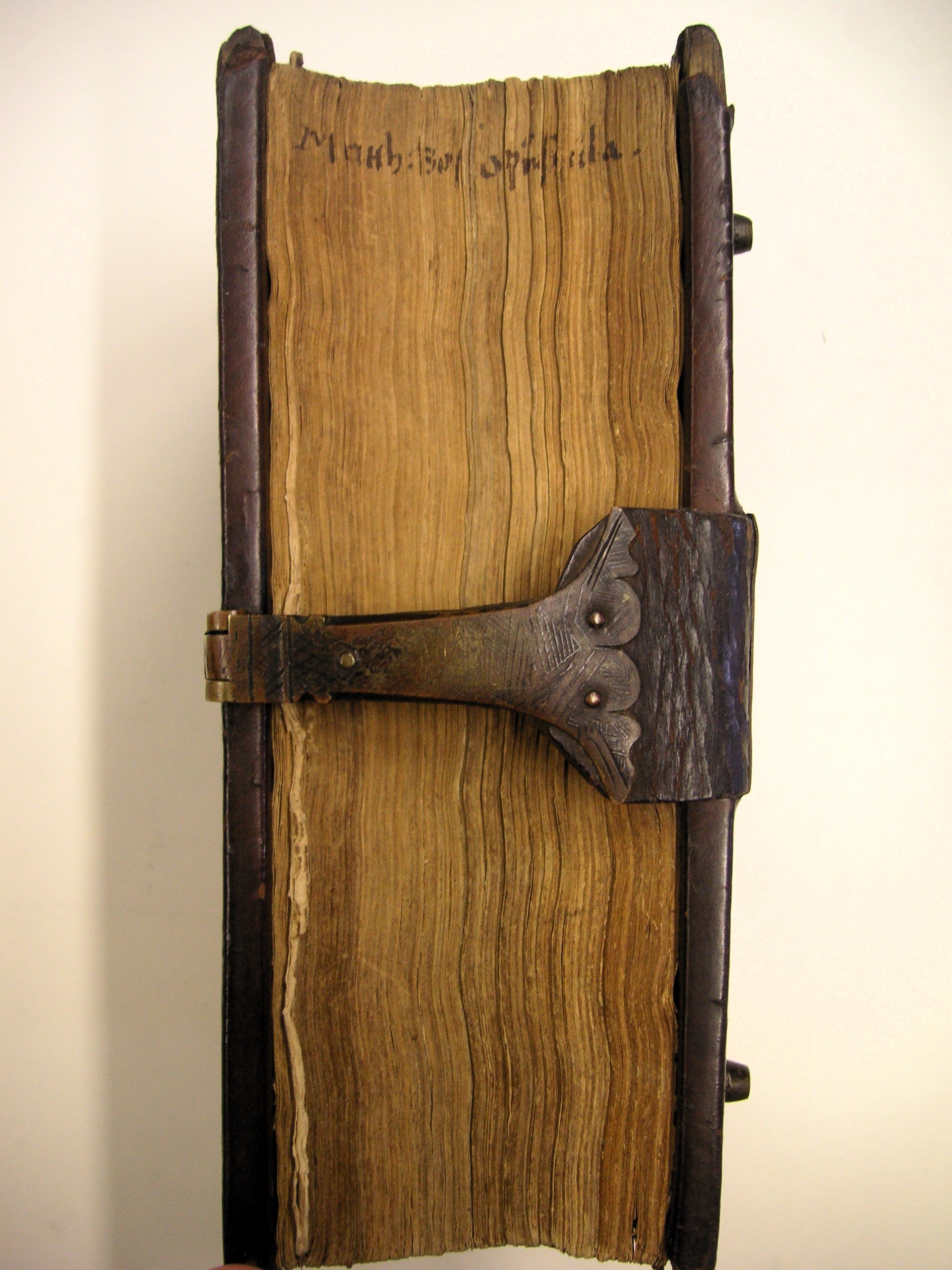 Image Description for https://www.hist-einband.de/Bilder/SBB/bg_pb_eab_ba37_laengsschnitt.jpg