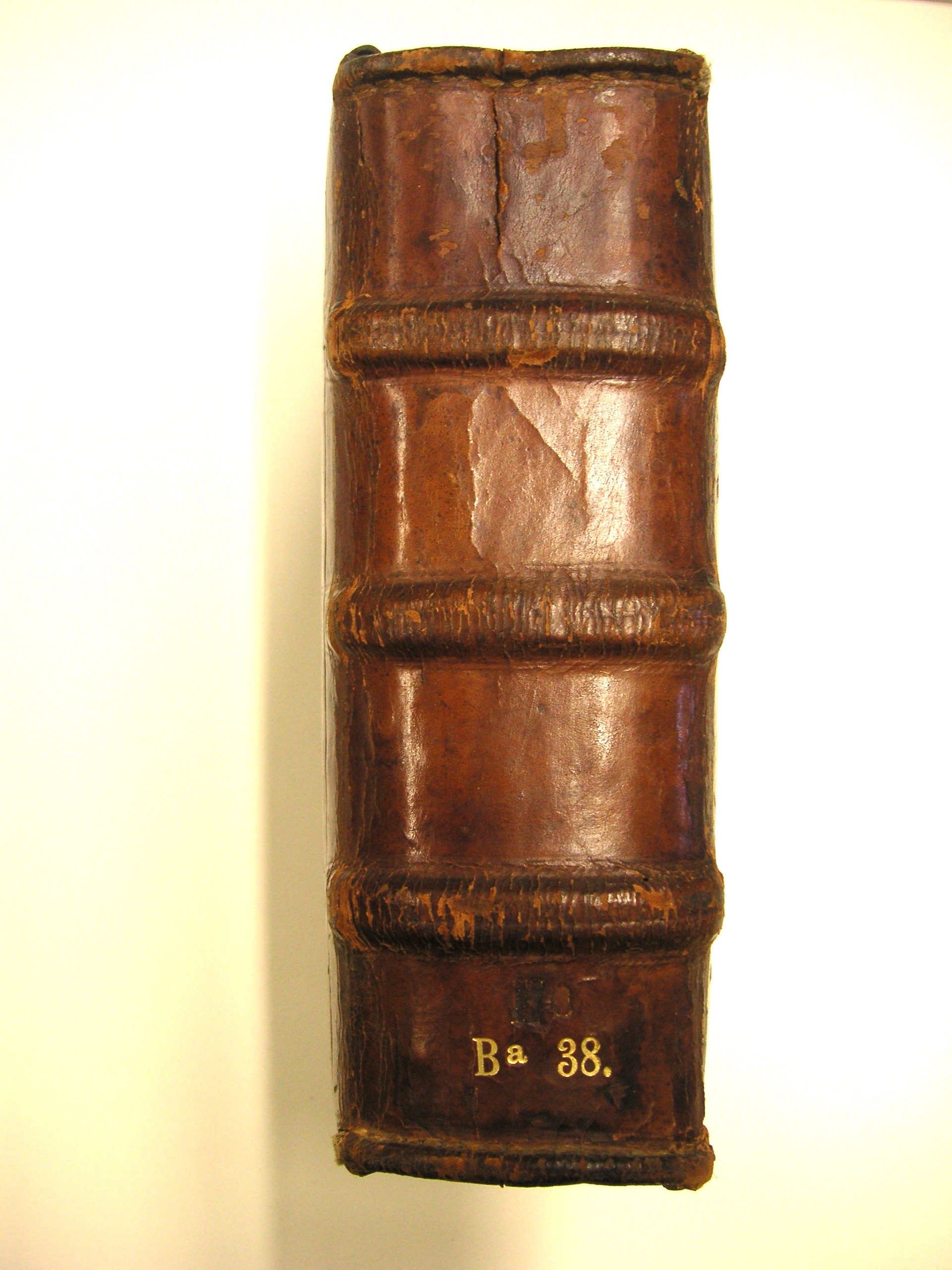 Image Description for https://www.hist-einband.de/Bilder/SBB/bg_pb_eab_ba38_br.jpg