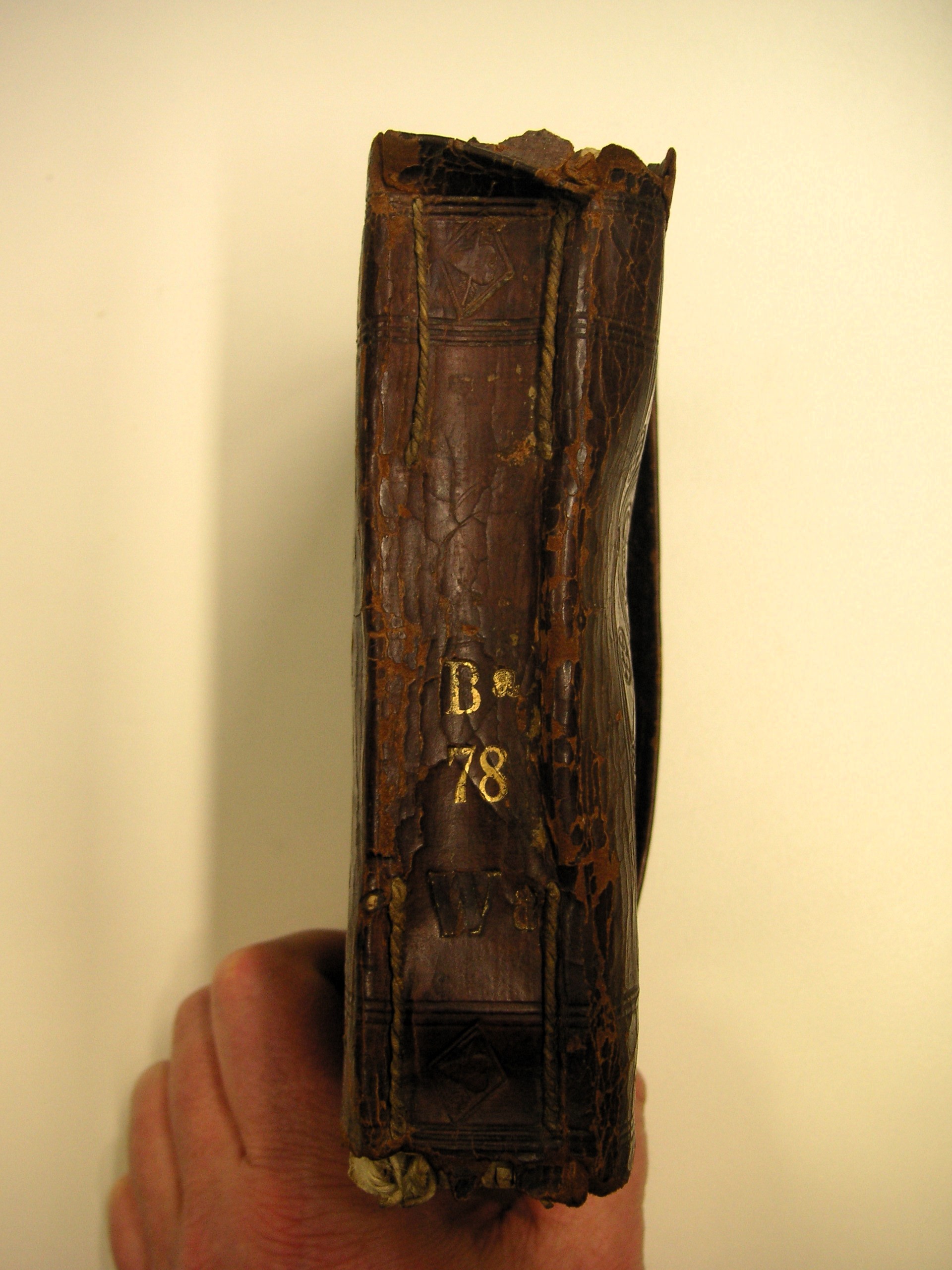 Image Description for https://www.hist-einband.de/Bilder/SBB/bg_pb_eab_ba78_br.jpg