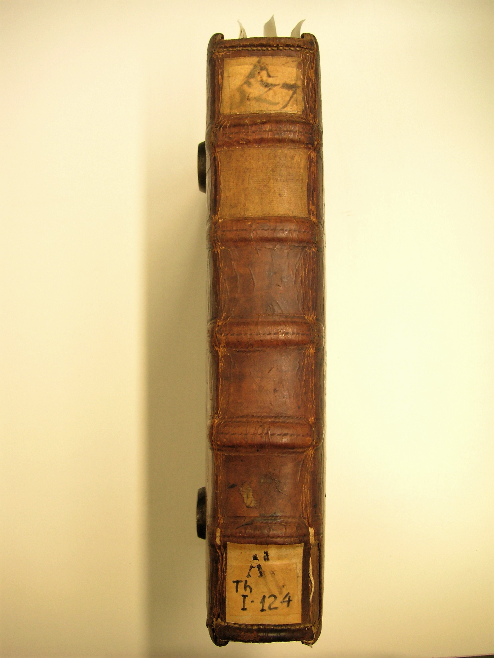 Image Description for https://www.hist-einband.de/Bilder/SBB/bg_pb_eab_i124_br.jpg