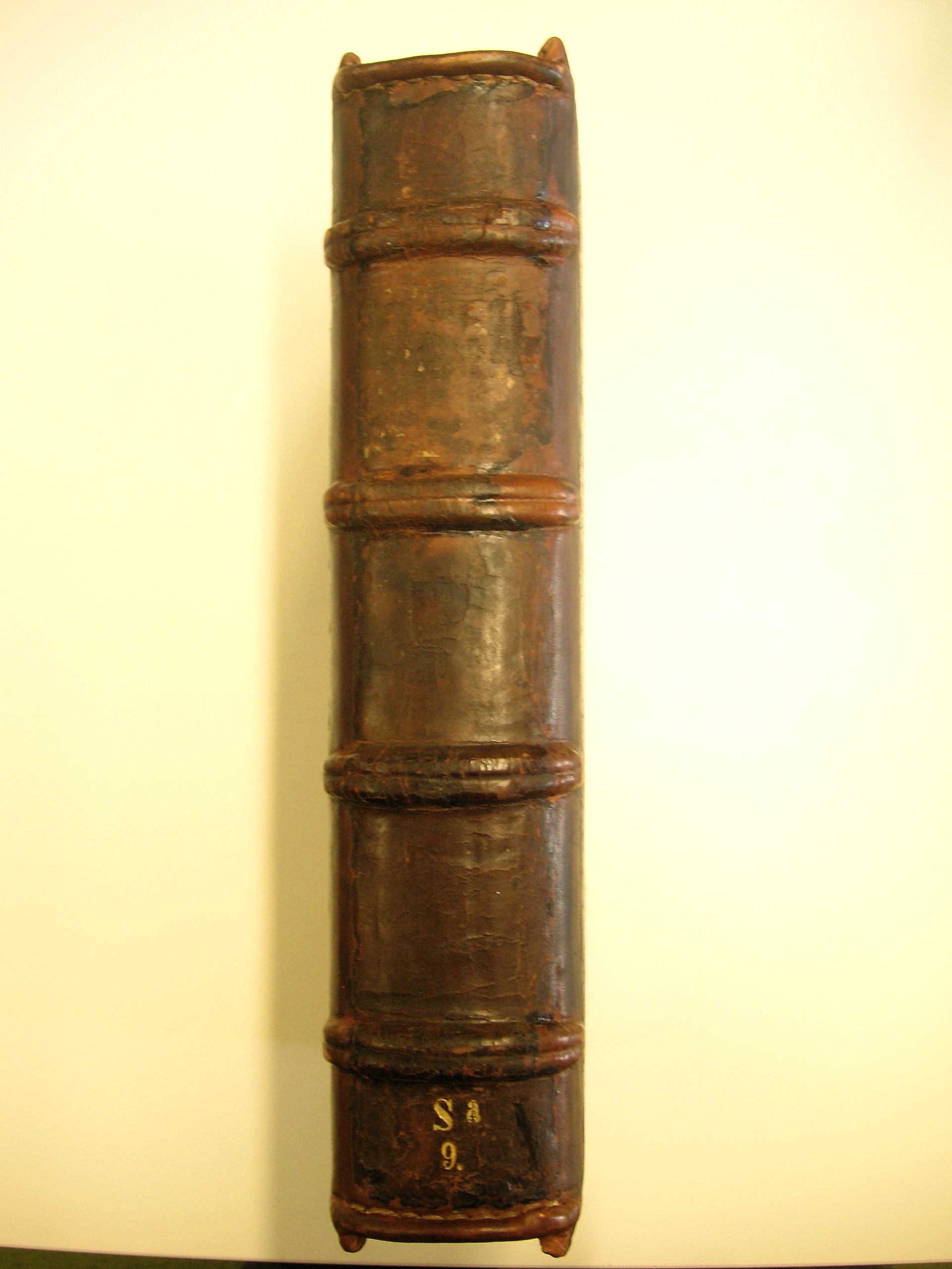 Image Description for https://www.hist-einband.de/Bilder/SBB/bg_pb_eab_sa9_br.jpg