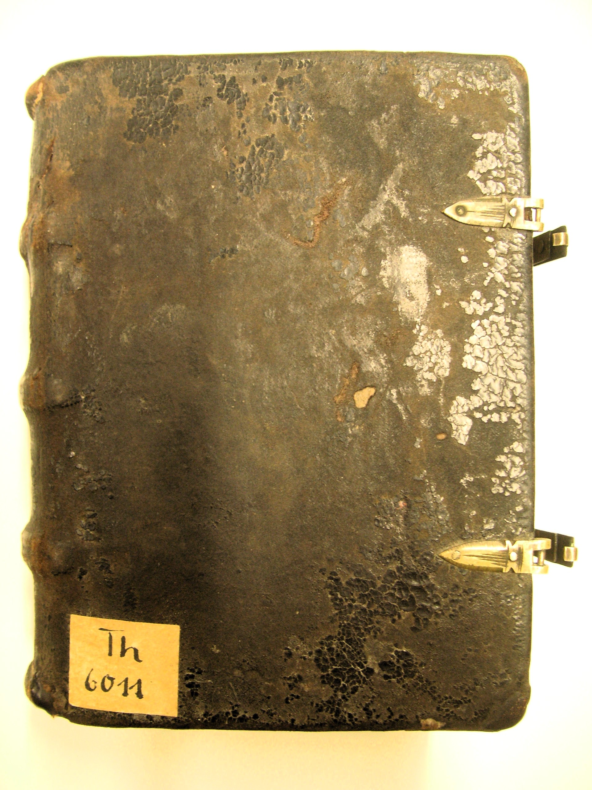 Image Description for https://www.hist-einband.de/Bilder/SBB/bg_pb_eab_th6011_vd.jpg