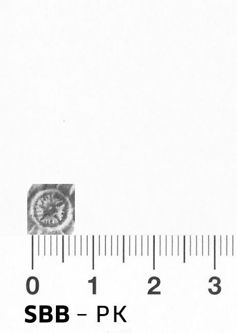 Image Description for https://www.hist-einband.de/Bilder/SBB/bm000268c.png