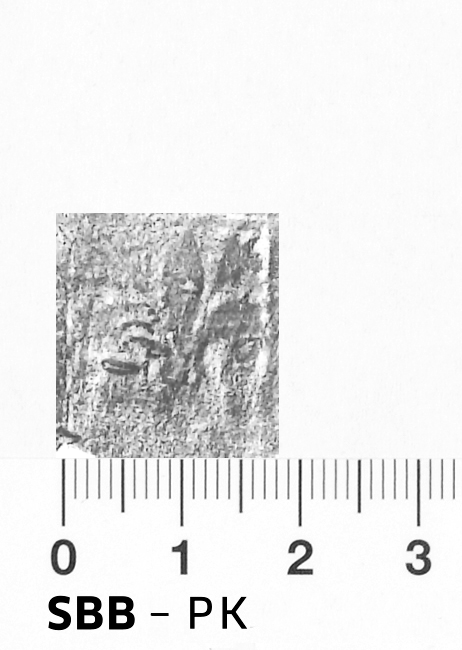 Image Description for https://www.hist-einband.de/Bilder/SBB/bm000269h.png
