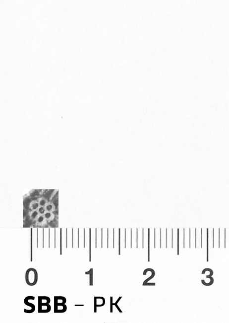 Image Description for https://www.hist-einband.de/Bilder/SBB/bm000279b.png