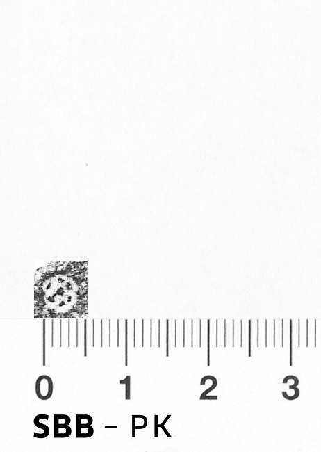 Image Description for https://www.hist-einband.de/Bilder/SBB/bm000283e.png