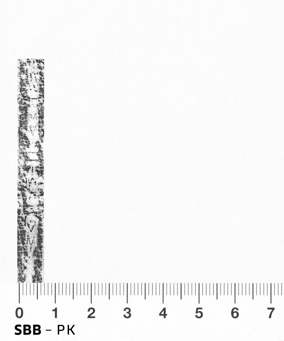 Image Description for https://www.hist-einband.de/Bilder/SBB/bm000285a.png
