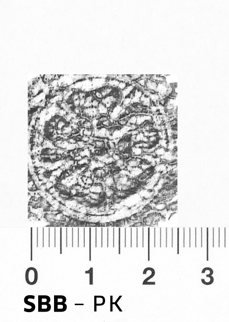 Image Description for https://www.hist-einband.de/Bilder/SBB/bm000294c.png