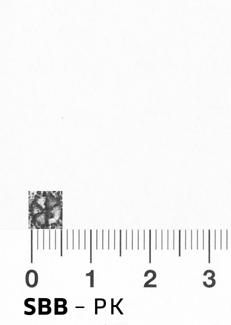 Image Description for https://www.hist-einband.de/Bilder/SBB/bm000304b.png