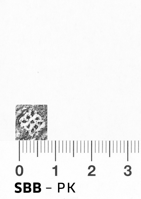 Image Description for https://www.hist-einband.de/Bilder/SBB/bm000311.png