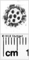 Image Description for https://www.hist-einband.de/Bilder/WLB/MIG/images/s0020731.jpg