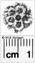 Image Description for https://www.hist-einband.de/Bilder/WLB/MIG/images/s0021207.jpg