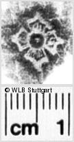 Image Description for https://www.hist-einband.de/Bilder/WLB/MIG/images/s0021807.jpg