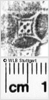 Image Description for https://www.hist-einband.de/Bilder/WLB/MIG/images/s0022909.jpg