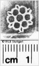 Image Description for https://www.hist-einband.de/Bilder/WLB/MIG/images/s0023140.jpg