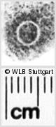 Image Description for https://www.hist-einband.de/Bilder/WLB/MIG/images/s0024306.jpg