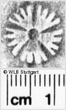 Image Description for https://www.hist-einband.de/Bilder/WLB/MIG/images/s0024926.jpg