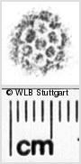 Image Description for https://www.hist-einband.de/Bilder/WLB/MIG/images/s0026211.jpg