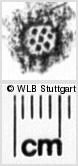 Image Description for https://www.hist-einband.de/Bilder/WLB/MIG/images/s0030851.jpg